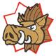 Mascots